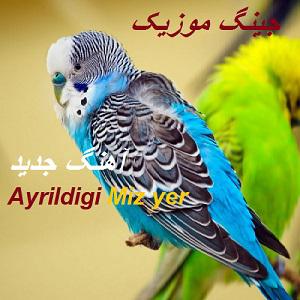 دانلود آهنگ جدید پرویز بولبول بنام Ayrildigi Miz yer ایریلدی گیمز یر