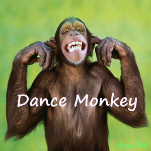 دانلود آهنگ خارجی Dance Monkey از Tones and I